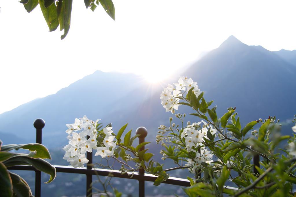 Hotel Alpenrose Scena Exterior foto